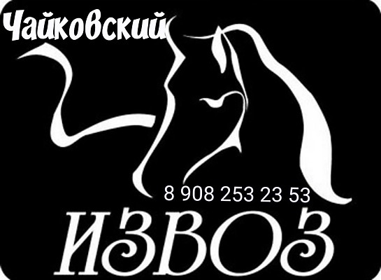 Услуги